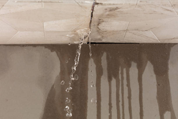 Professional Water Damage Repair technician working in Monroe, WI